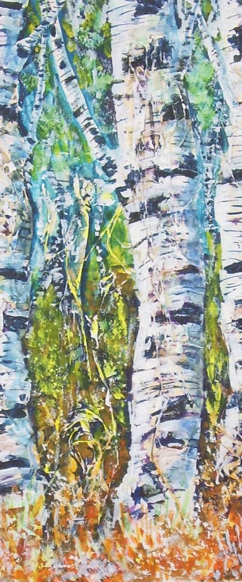 Birch Trees 2 by Max Aitken