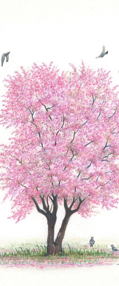 Japanese Cherry Blossom Tree by Shweta  Mahajan