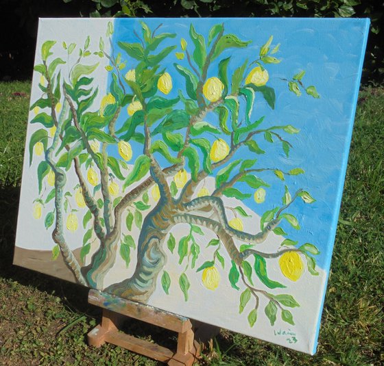 SOLD - Lemon tree