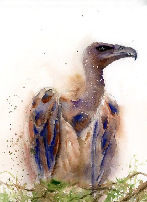 Vulture