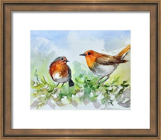 Two Robin birds on a tree