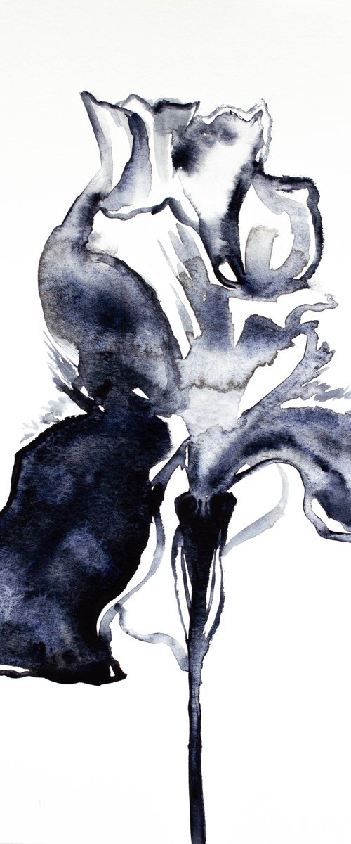 Iris No. 103 by Elizabeth Becker
