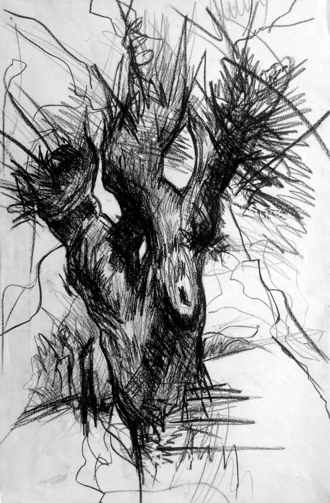 Holuwaseyi art - Nature drawing Charcoal drawing A3 size