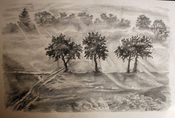 Trees . Drawing.