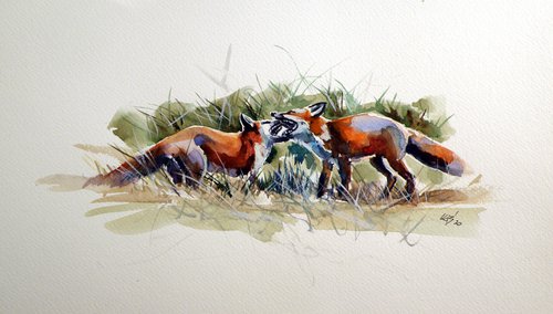 Foxes fighting by Kovács Anna Brigitta