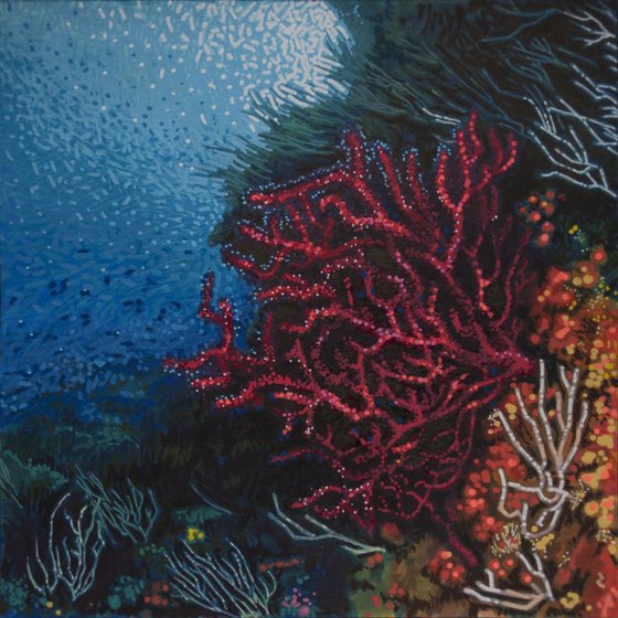 Red Gorgonian 01 - SOLD