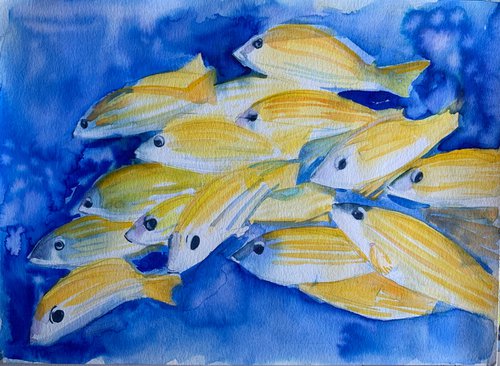 Yellow Fish by Olga Pascari