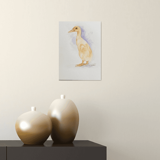 Pekin Duck Sam