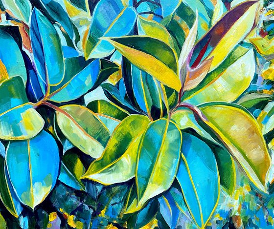 "SHADES OF FICUS"