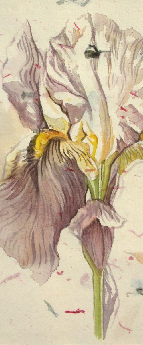 iris painting on hand made flower paper by Alfred  Ng