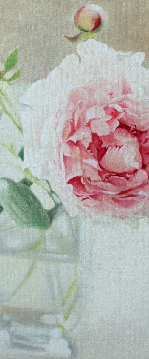 etude. peony in a glass by Julia Diven