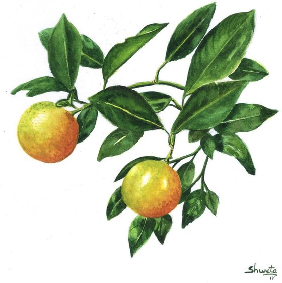 Mandarin Oranges