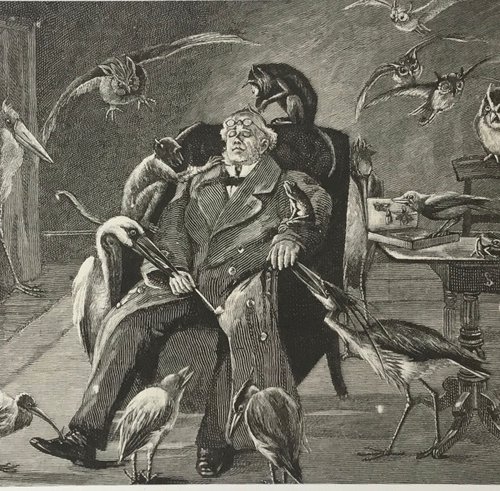 Dreaming in the study by Tudor Evans