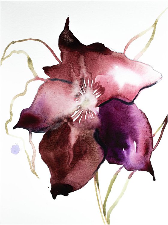 Hellebore No. 8