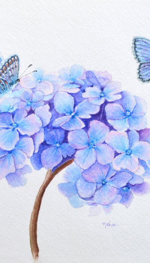 Butterfly on Hydrangea by Neha Soni