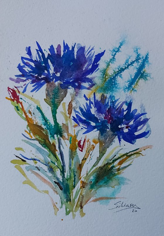 Cornflowers