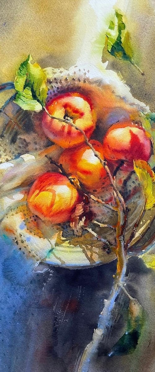Apple painting watercolor. The Basket of Apples by Samira Yanushkova