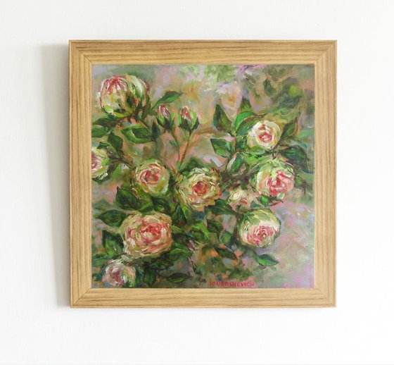 White Roses Bush