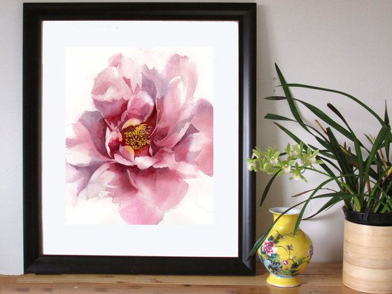 peony in pink watercolor floral