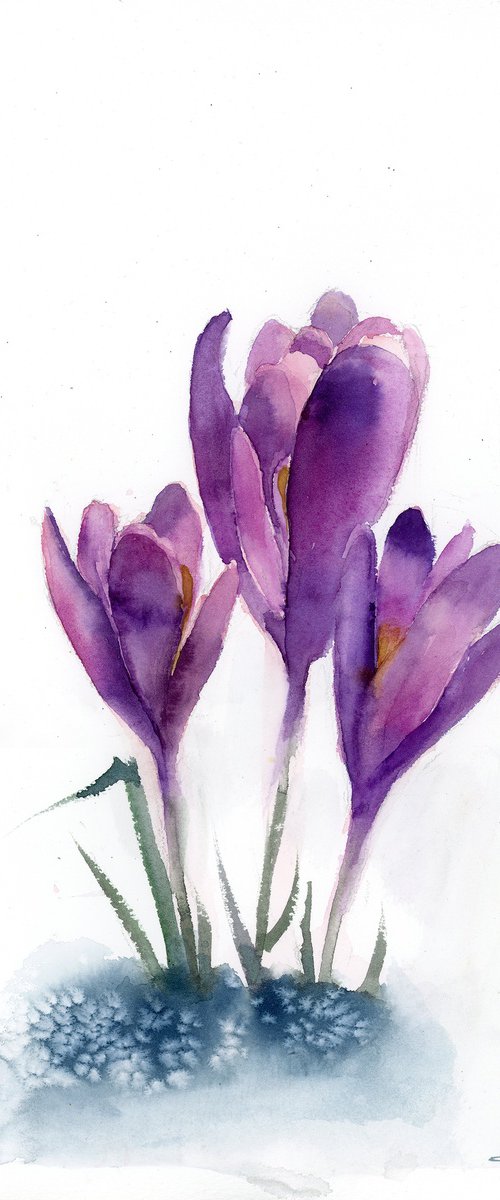 Crocuses by Olga Tchefranov (Shefranov)