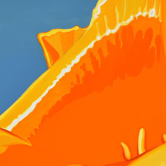 Californian Poppy and Wind #1