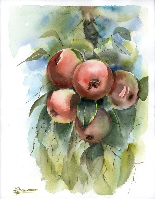 Apple Tree Branch - Original Watercolor by Olga Shefranov (Tchefranov)