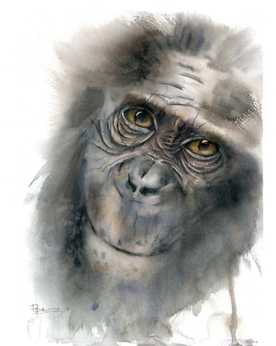 Impressionistic Animal Watercolour By Olga Tchefranov (Shefranov), 12 X 15", Monkey, Original Artwork