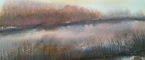 Rushy pond by Samantha Adams