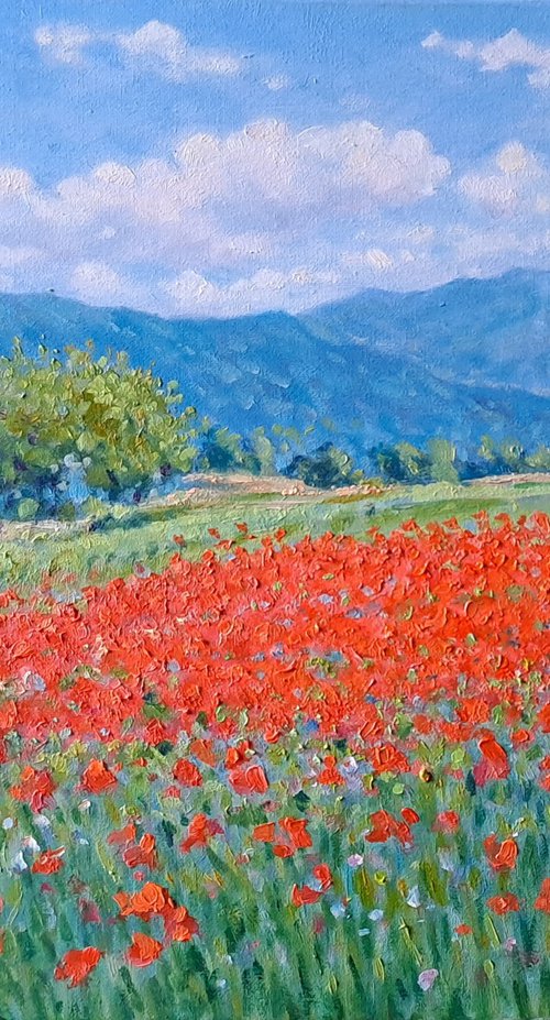 field of poppies in Provence by Claudio Ciardi