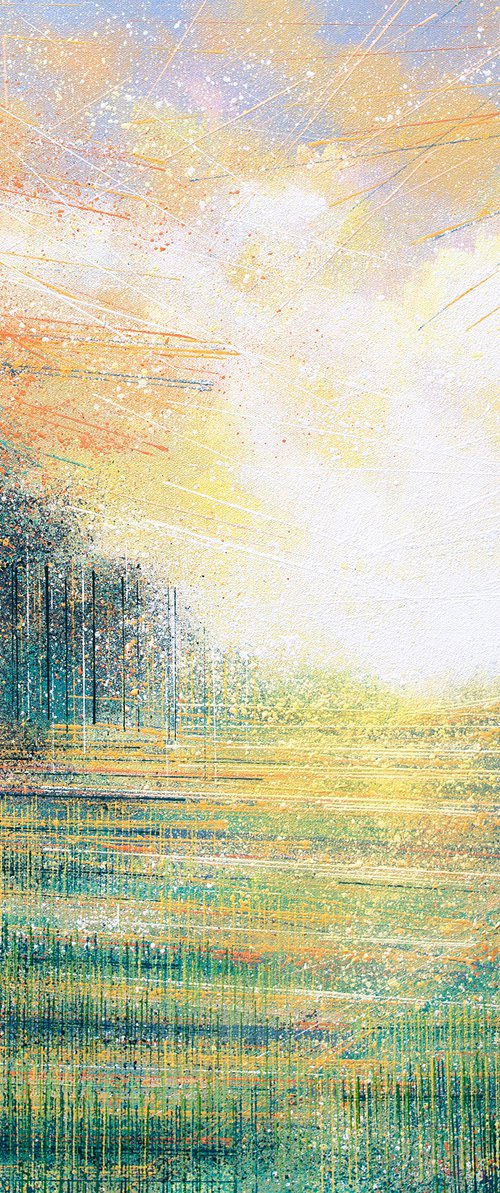 Summer Meadow At Sunset by Marc Todd