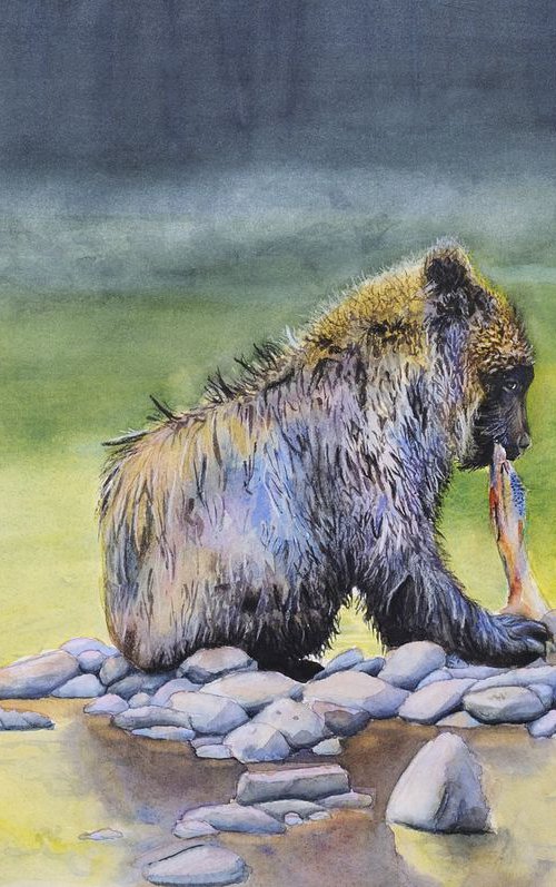 Salmon Bear - Grizzly Bear by Jason Edward Doucette