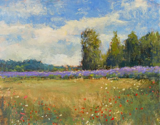 Summer Lavender 11x14 inches