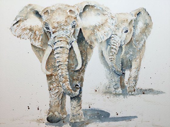 Elephants