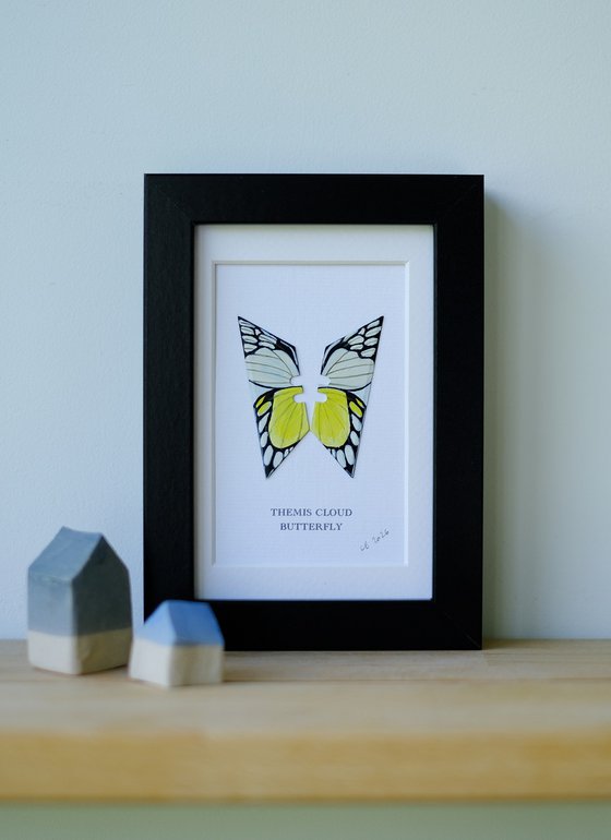 Themis Cloud butterfly