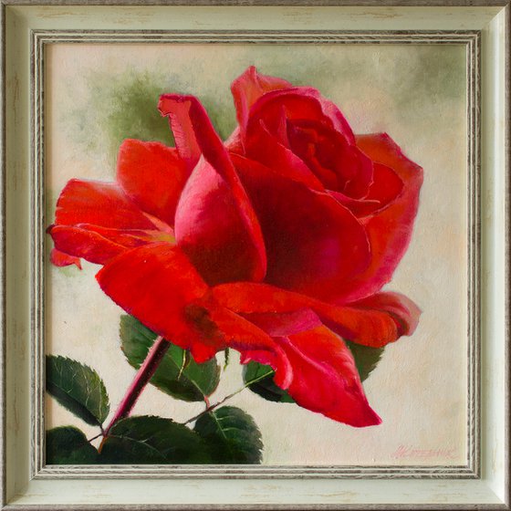 "Scarlett" red  rose flower  liGHt original painting  GIFT (2017)