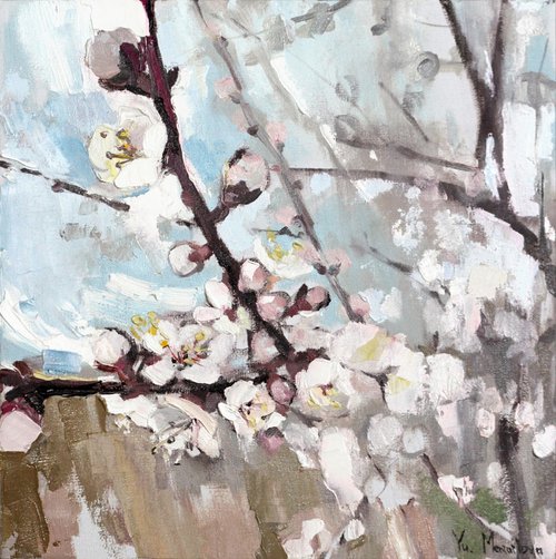 Floral painting - Bloosoms cherry tree - Square painting by Yuliia Meniailova