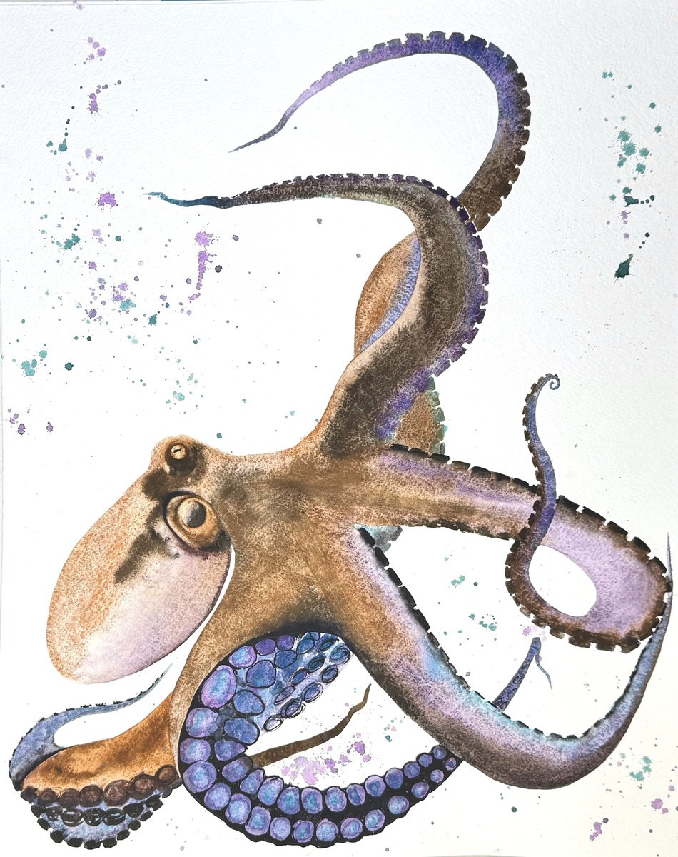 Animal Watercolour By Yuliia Sharapova, 16 X 20", Octopus Polpo Pulpo, Original Artwork