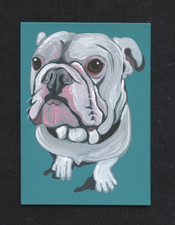 ACEO ATC Original Miniature Painting Olde English Bulldogge Pet Dog Art-Carla Smale