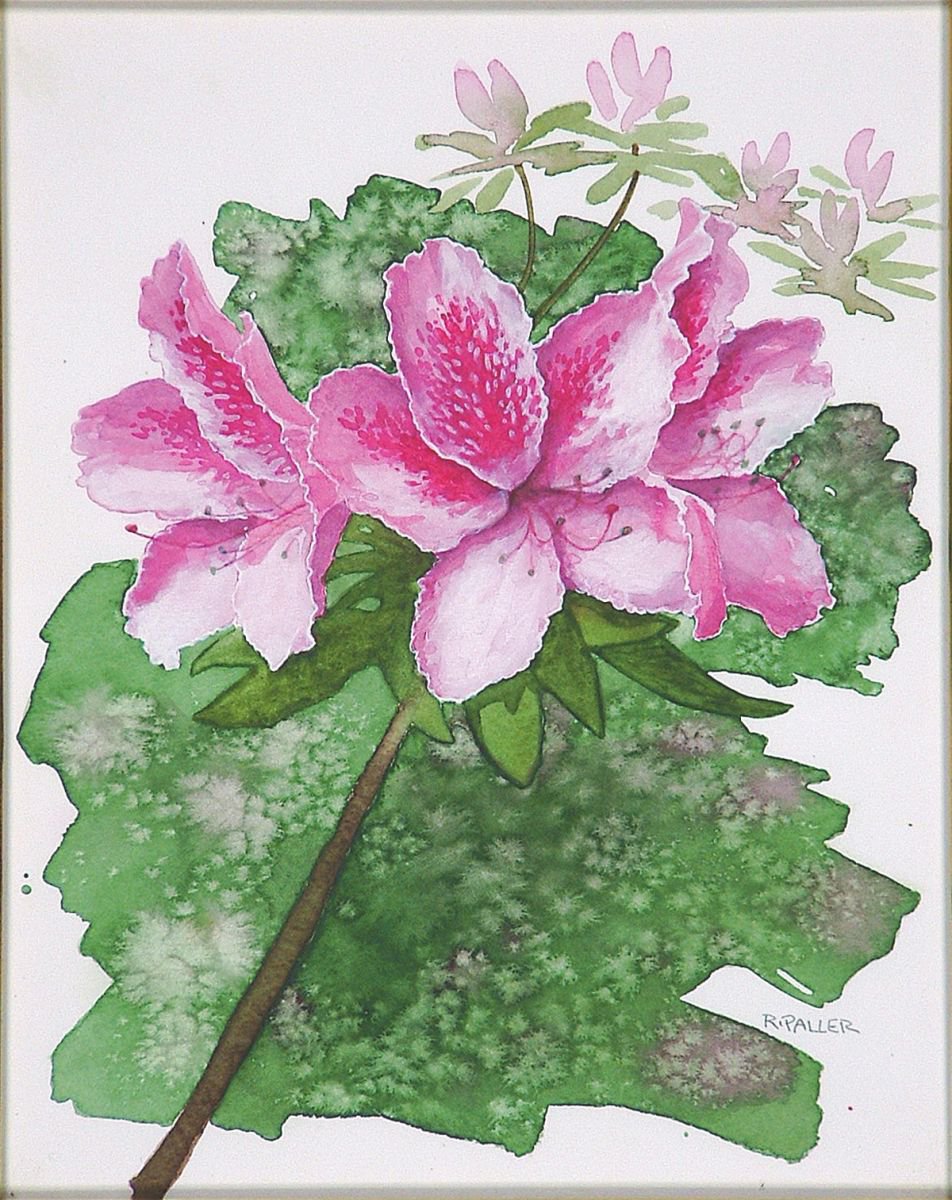Azalea Flower (2012) Watercolour by Rick Paller | Artfinder