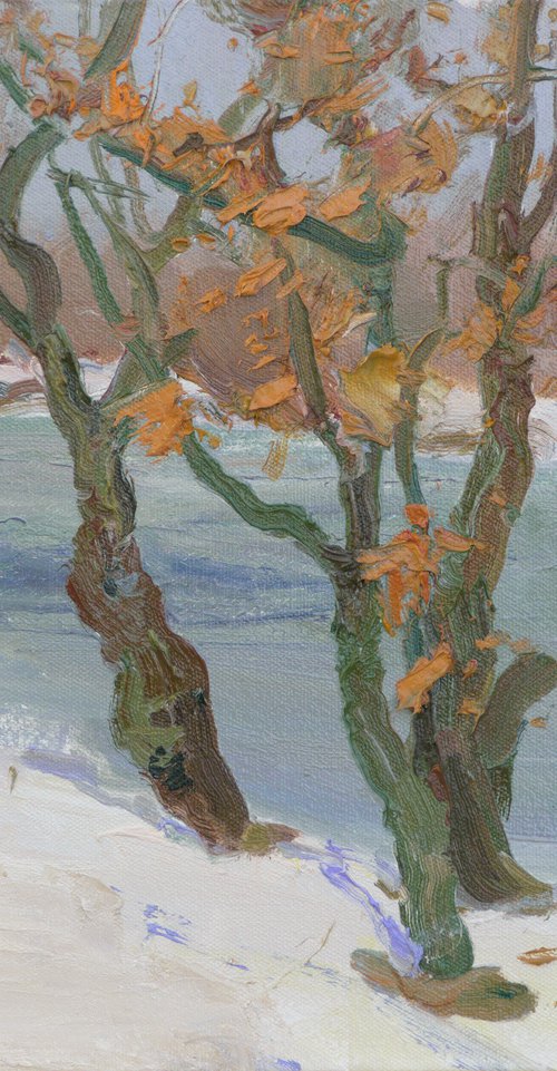 Trees near the river by Victor Onyshchenko