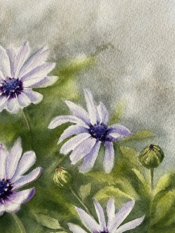 Blue eyes, white flowers, original