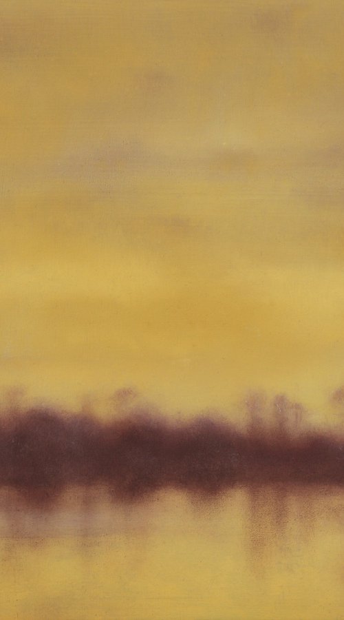 Yellow Evening Light by Howard Sills