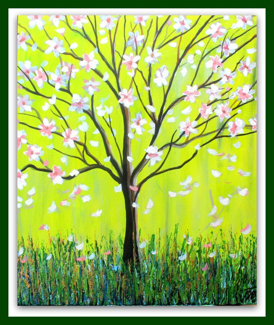 Magnolia Spring