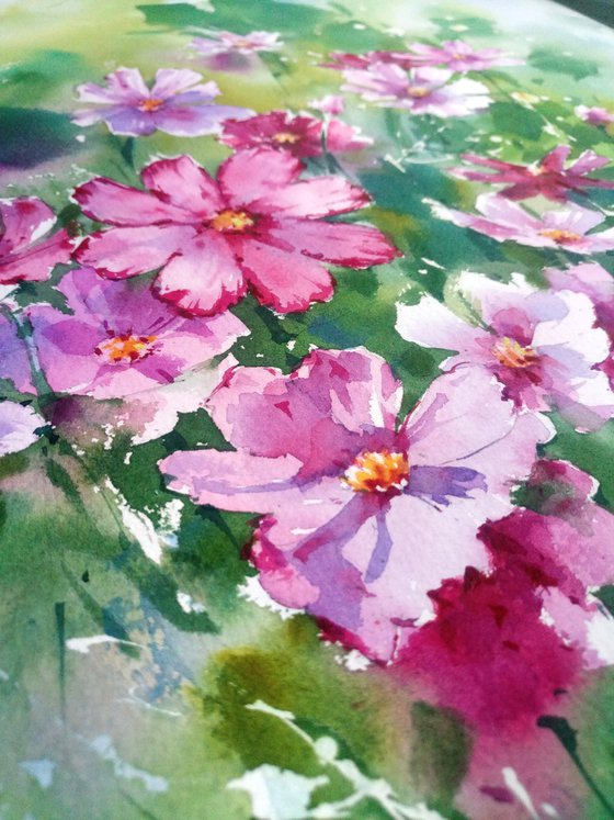 Cosmos Flowers. Sunlit Harmony