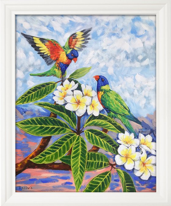 Rainbow lorikeets and Frangipani flowers