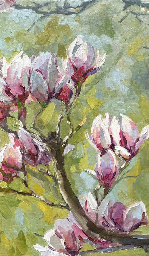 magnolia branch by Evgeny Chernyakovsky