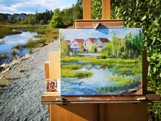 Belchers  Marsh Park trail