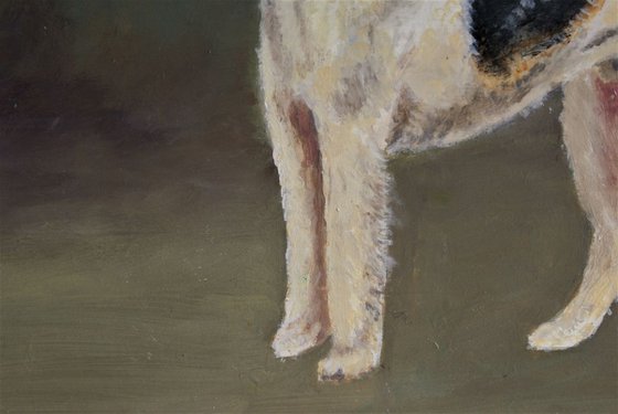 Fox Terrier  #1