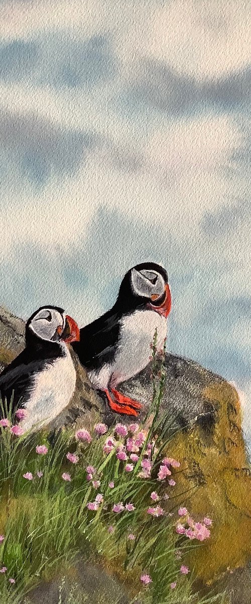 Puffins Amongst sea thrift #2 by Darren Carey