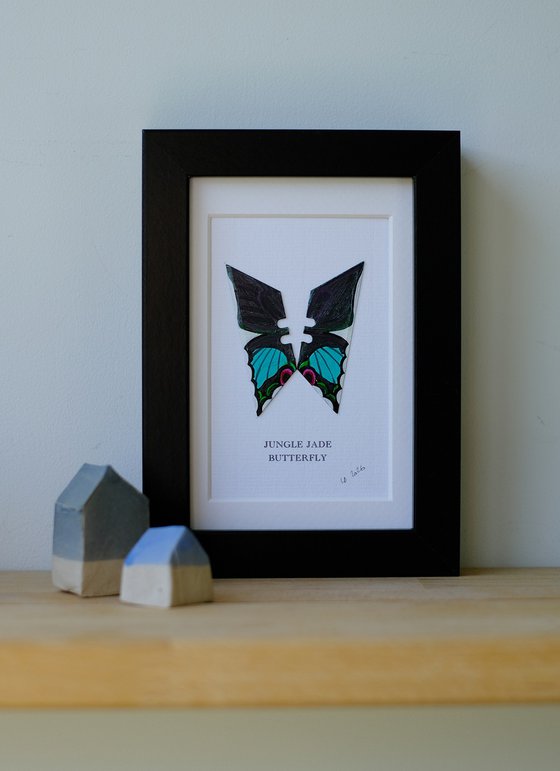 Jungle Jade butterfly